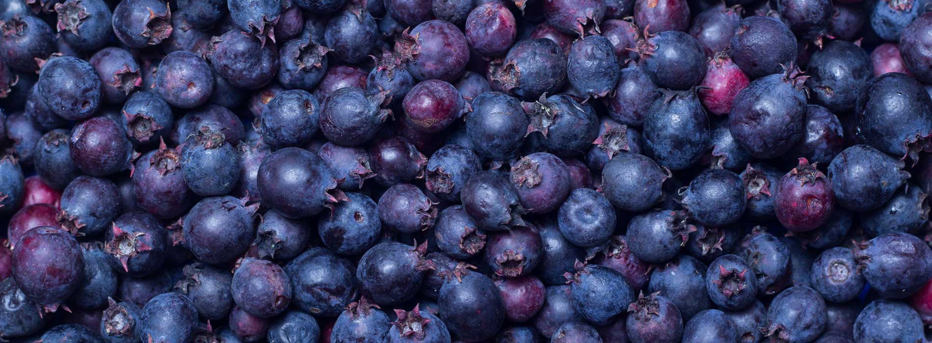 Individually frozen Saskatoon Berries available all year