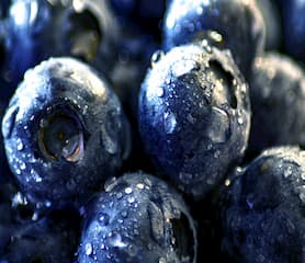 Saskatoons