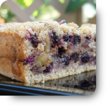 Saskatoon Coffee Cake